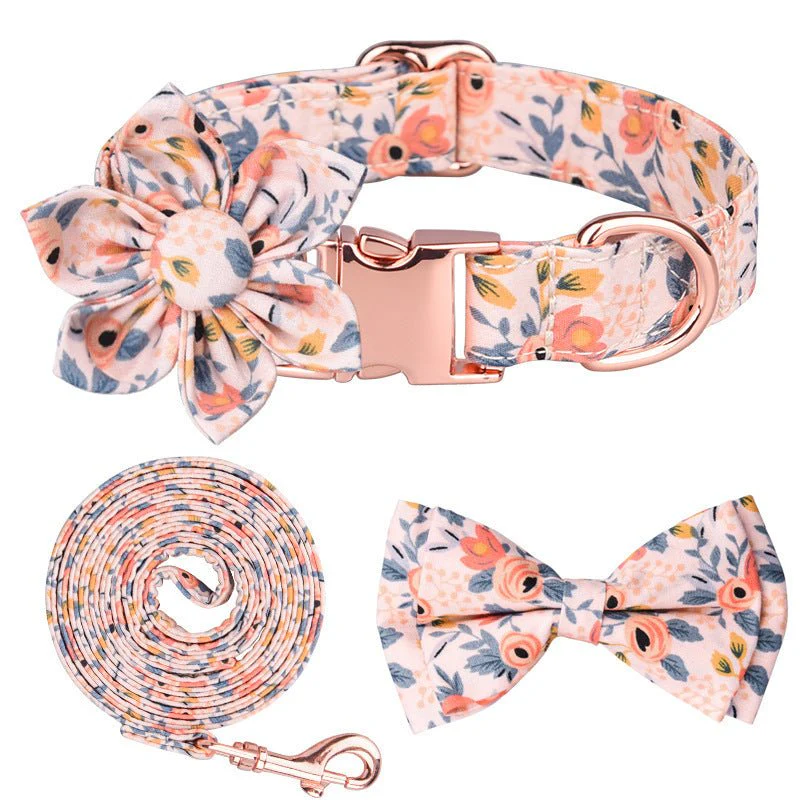 Paws Dog Collar Set - Image 2