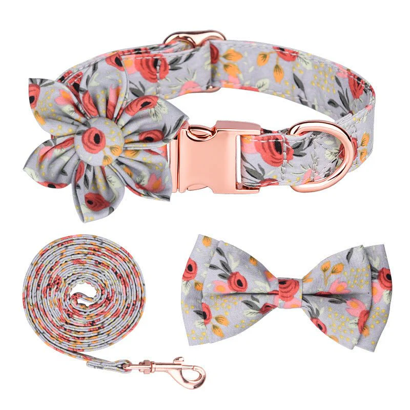 Paws Dog Collar Set - Image 3
