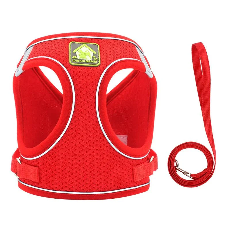 Paws Toy Dog Harness with Lead - Image 4