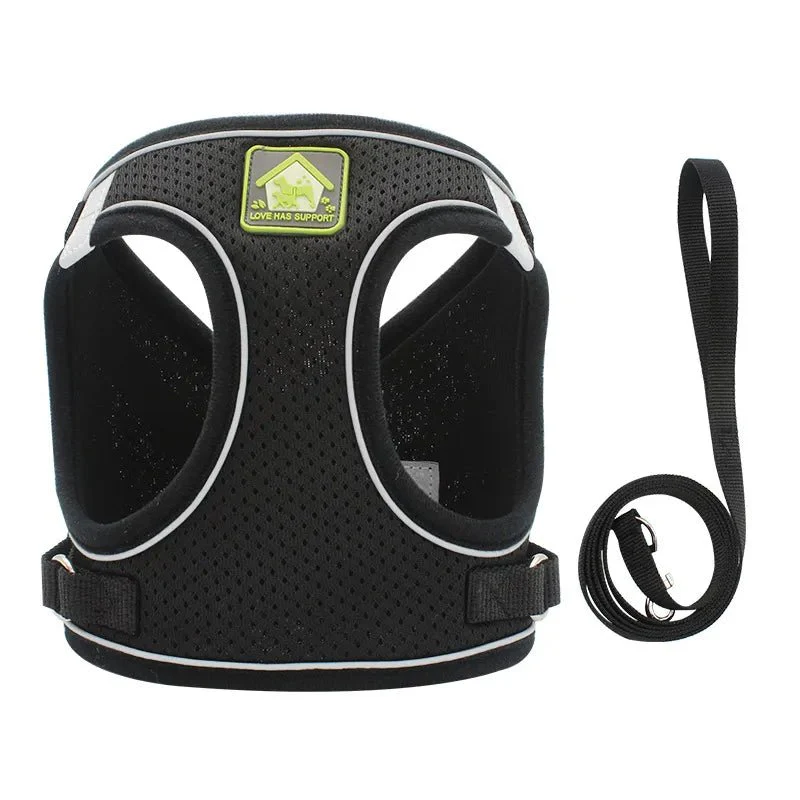 Paws Toy Dog Harness with Lead - Image 5