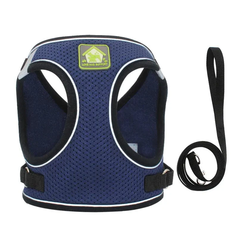 Paws Toy Dog Harness with Lead - Image 6