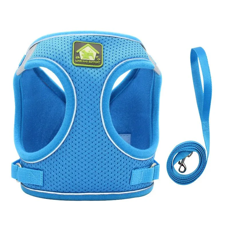 Paws Toy Dog Harness with Lead - Image 7