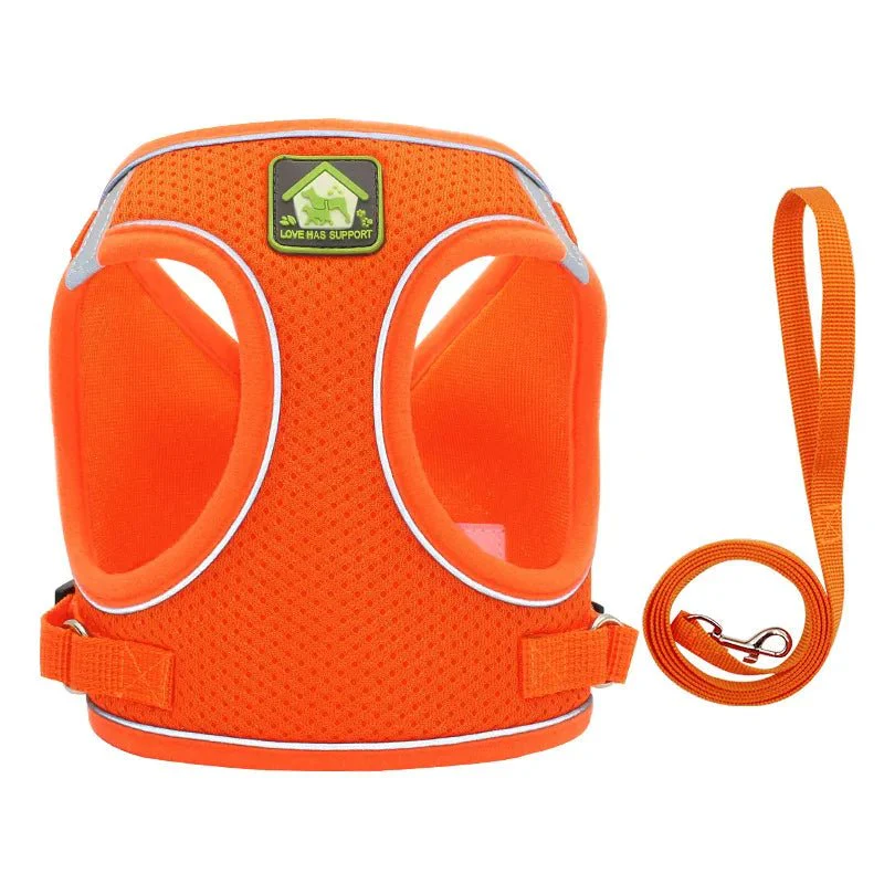 Paws Toy Dog Harness with Lead - Image 8