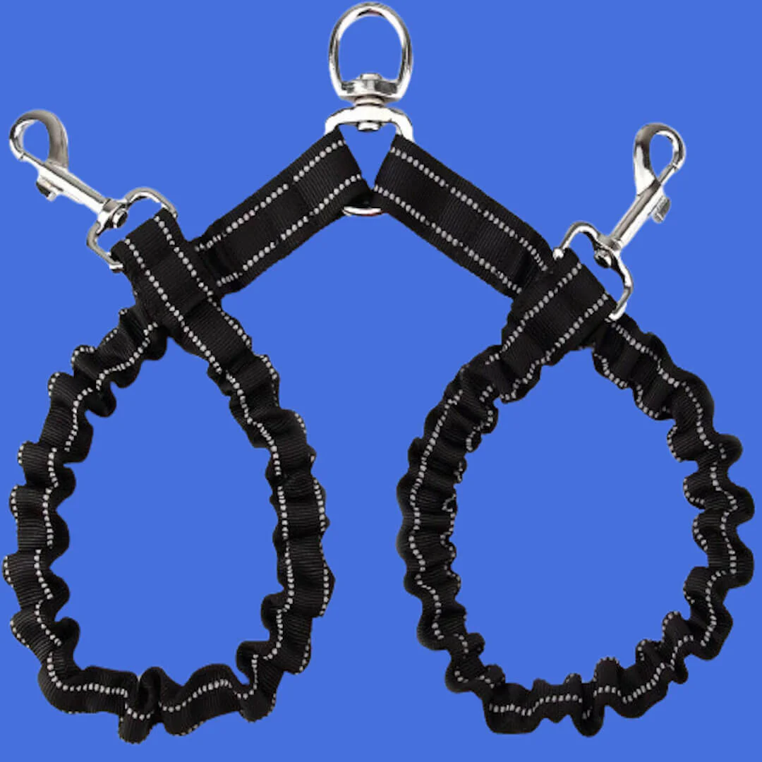 Paws 2 Dog Lead Extension