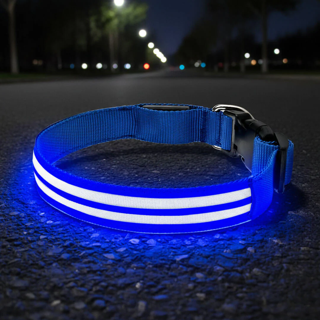 Paws LED Rechargable Collar - Image 2