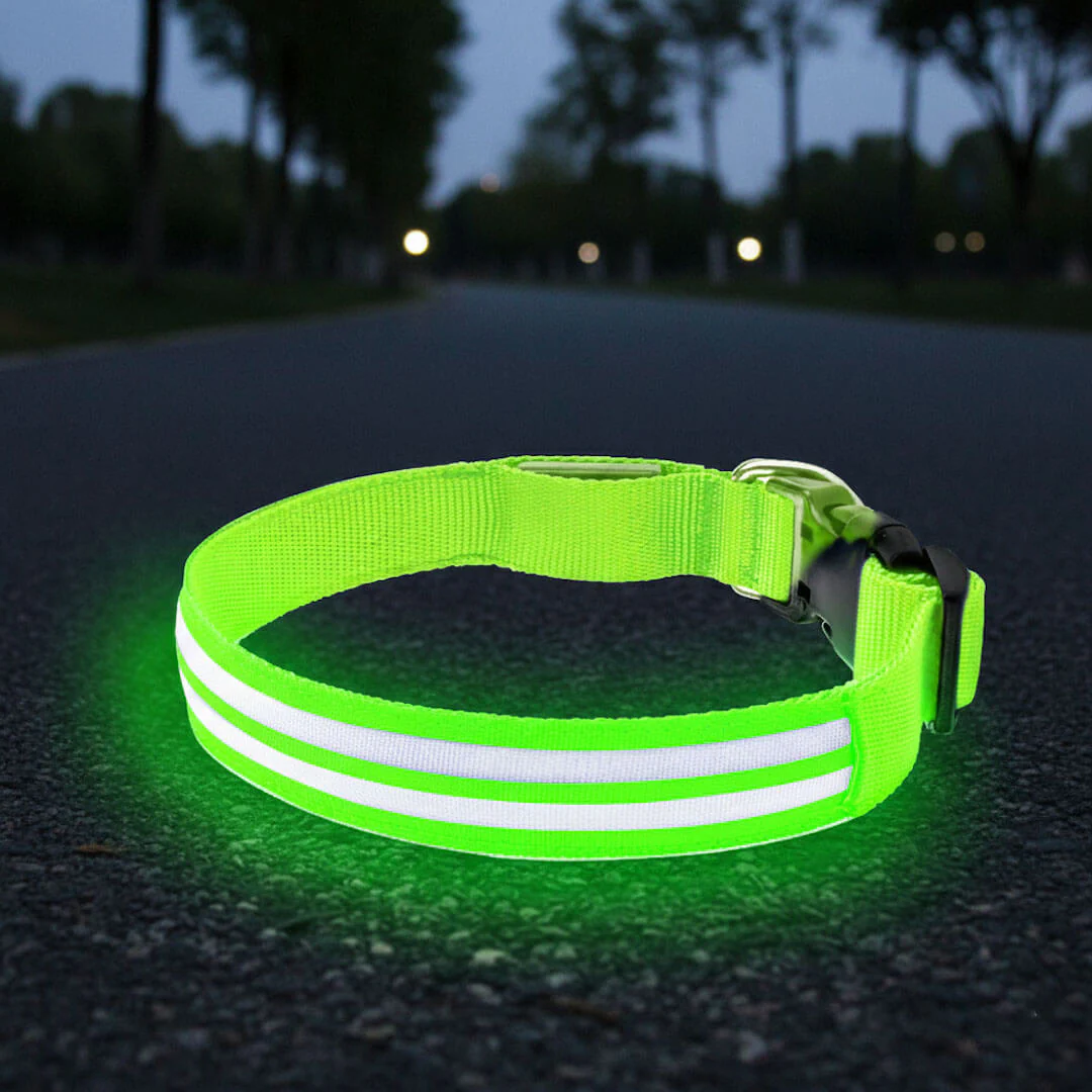 Paws LED Rechargable Collar - Image 3