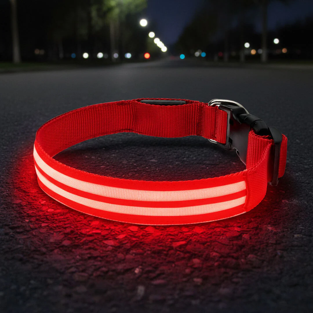 Paws LED Rechargable Collar - Image 4