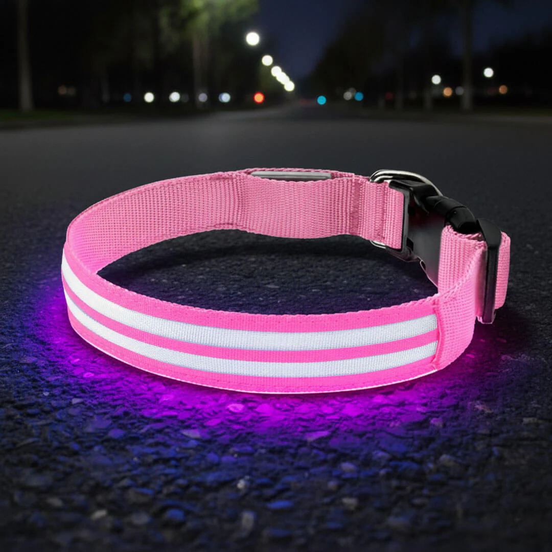 Paws LED Rechargable Collar - Image 5