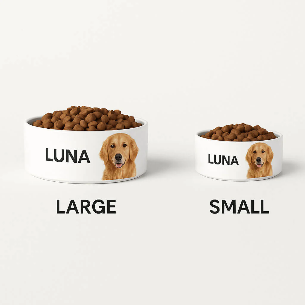 Paws Personalized Pet Bowl - Image 3