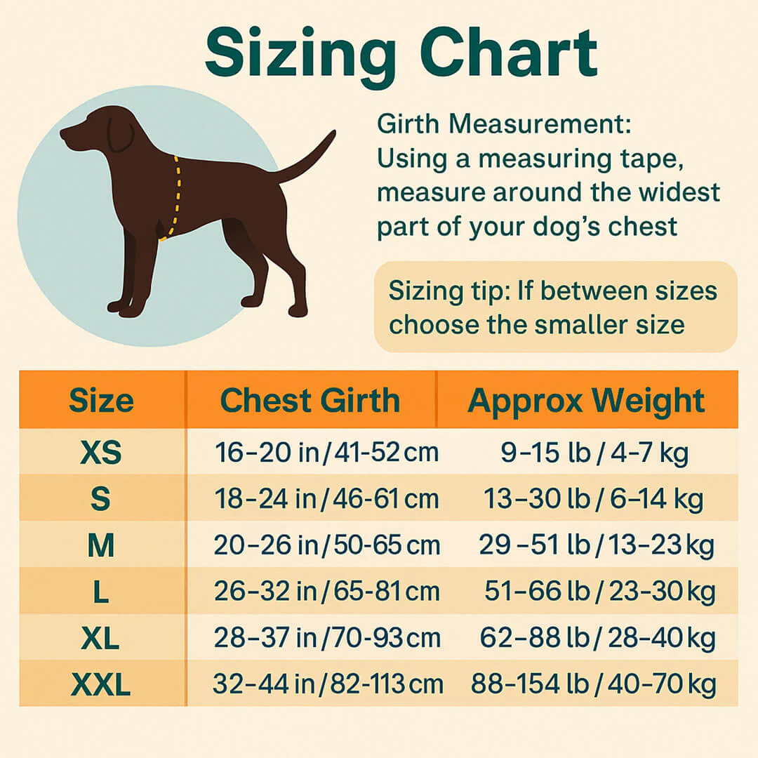 Matching Paws Personalized Dog Harness and Strong Rope Lead Set (XS to 2XL) - Image 2