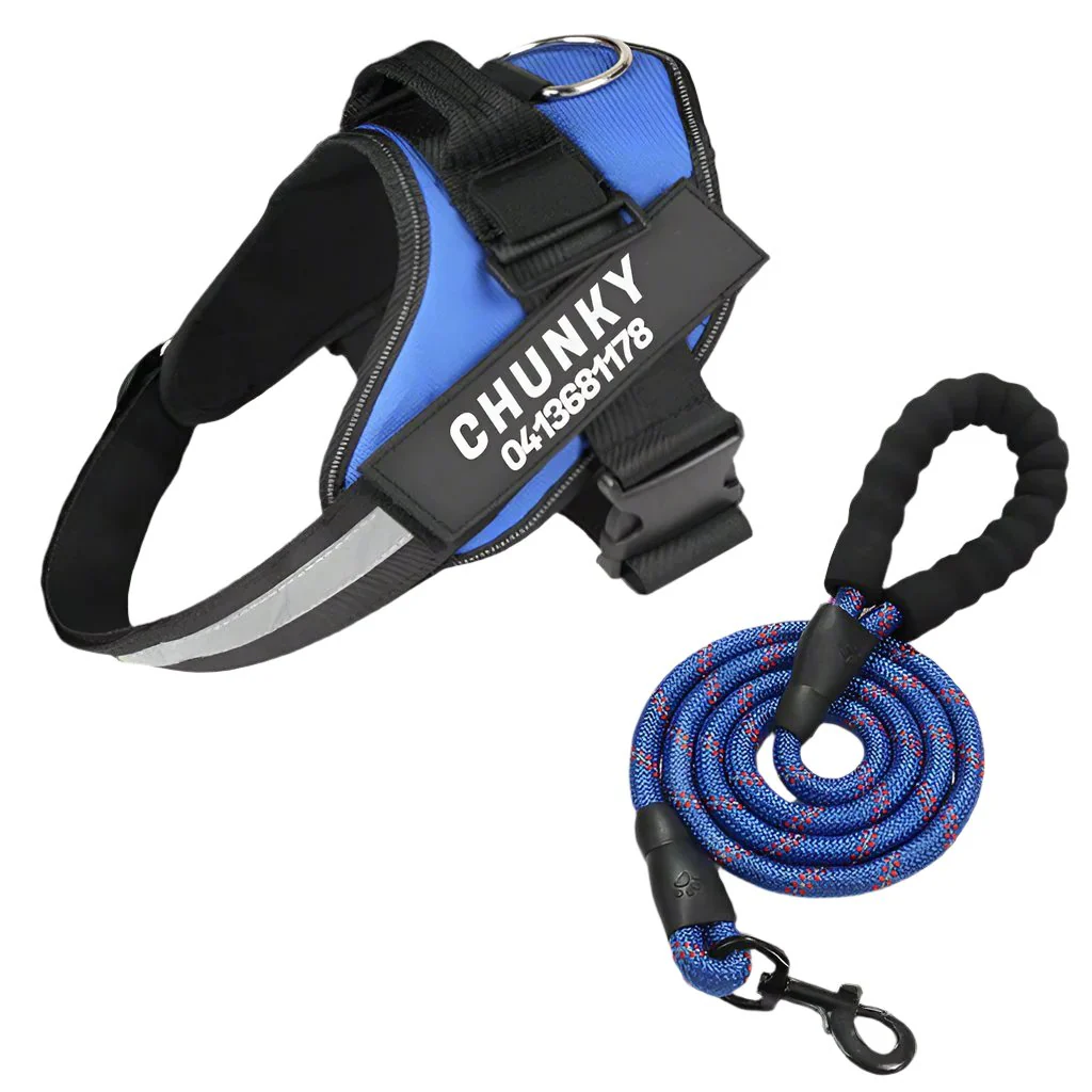 Matching Paws Personalized Dog Harness and Strong Rope Lead Set (XS to 2XL) - Image 6