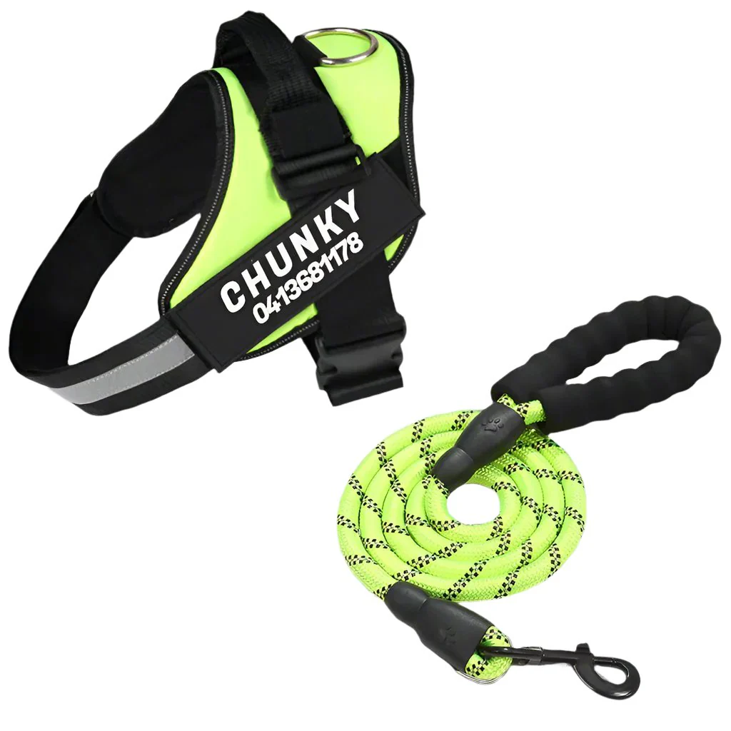Matching Paws Personalized Dog Harness and Strong Rope Lead Set (XS to 2XL) - Image 7