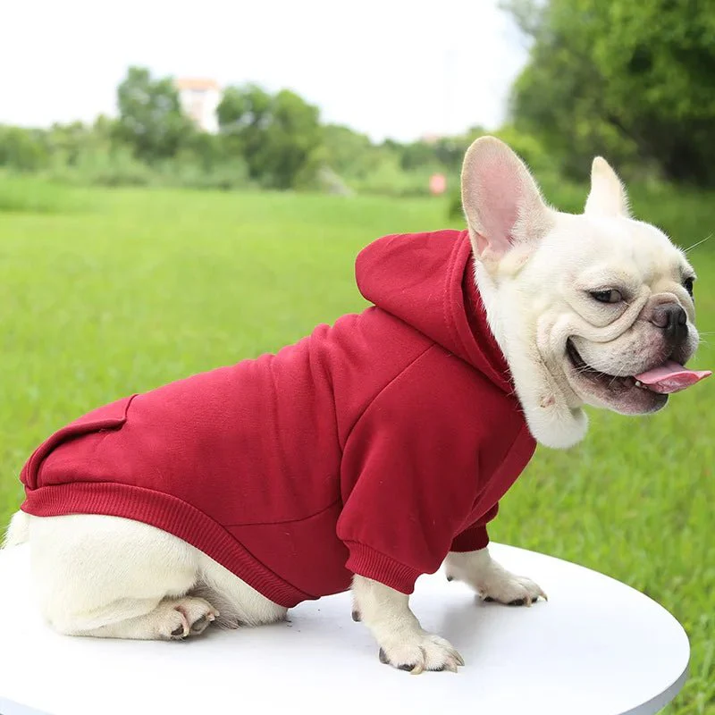 Warm and Soft Dog Hoodies - Image 2